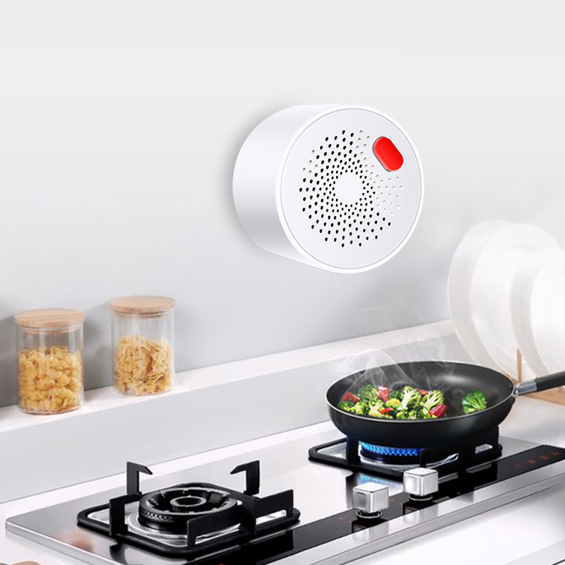 Датчик природного газа Tuya Sm – обзор и цена Home Improvement Hardware